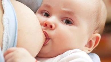 1530770960124783.jpg t0199ed729423891600.jpg